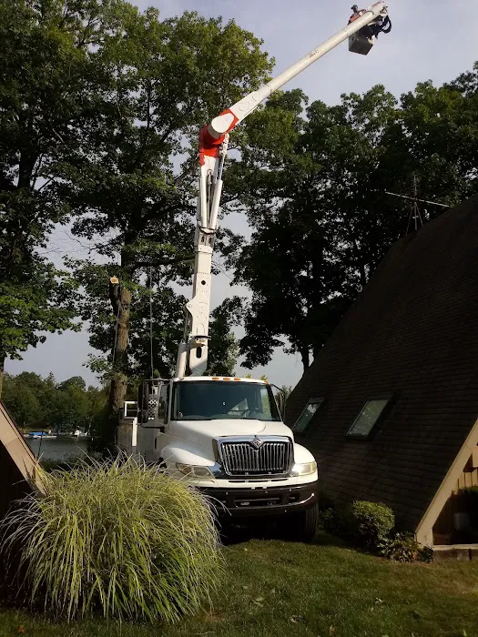 Hernandez Lawn Care & Landscaping Picture 4