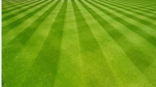 Sprague's Lawn Service Inc. Picture 1