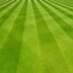 Sprague's Lawn Service Inc.