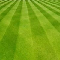 Sprague's Lawn Service Inc. ico