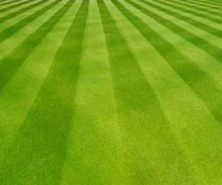 Sprague's Lawn Service Inc.
