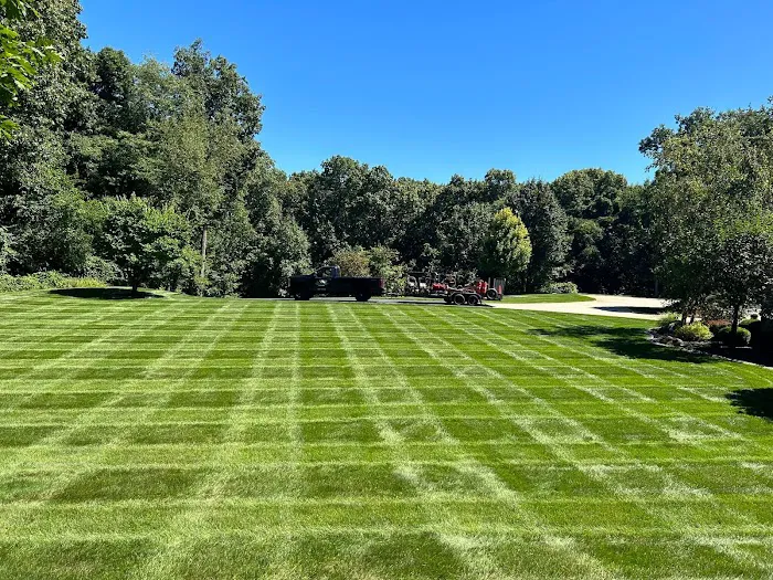 Lawns and More Picture 6