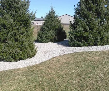 ROOKLEIF Lawn & Landscape