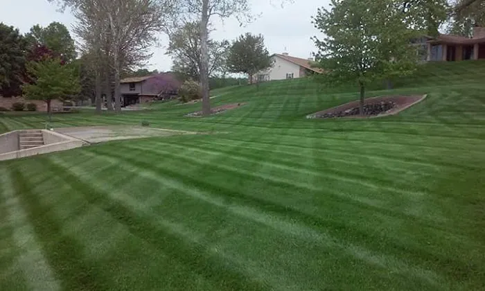 ROOKLEIF Lawn & Landscape Picture 7