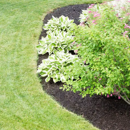 Seasonal Impact Landscaping and Construction Picture 6
