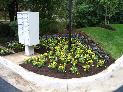 Seasonal Impact Landscaping and Construction Picture 5
