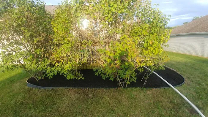 Noble County Lawn Care, LLC Picture 8