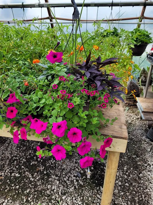 Schaller Greenhouse and Landscape Picture 6