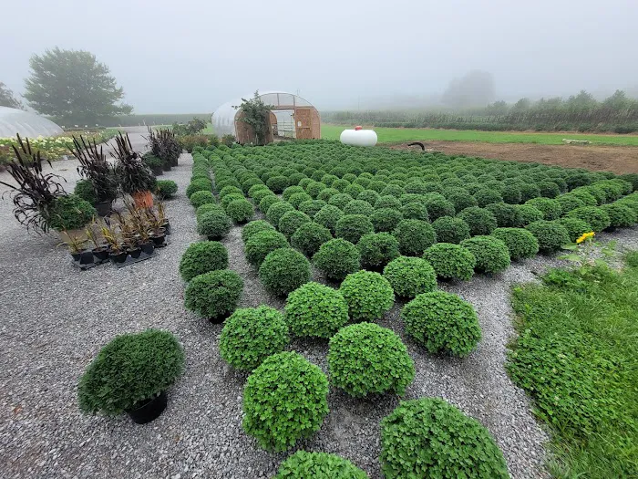 Schaller Greenhouse and Landscape Picture 4