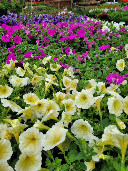 Schaller Greenhouse and Landscape Picture 2