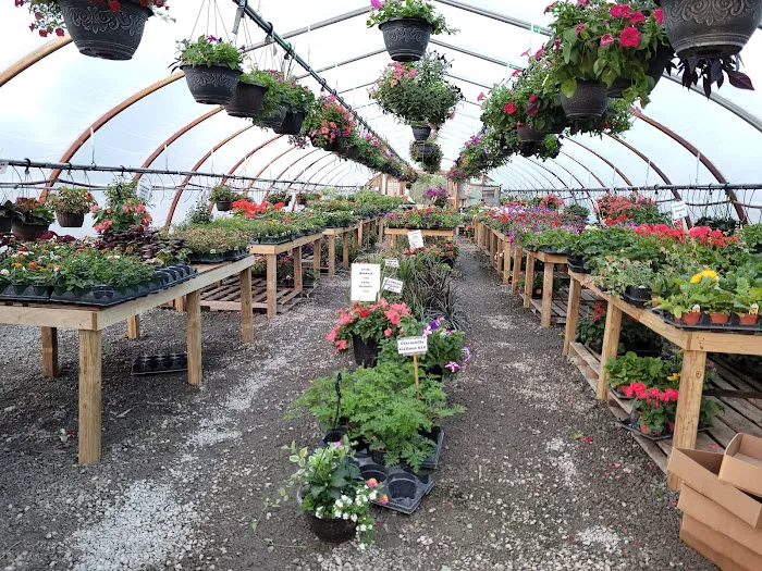 Schaller Greenhouse and Landscape Picture 10