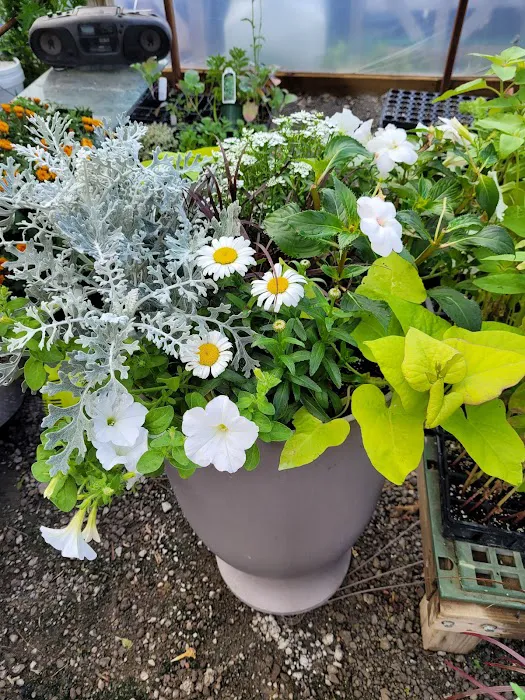Schaller Greenhouse and Landscape Picture 1