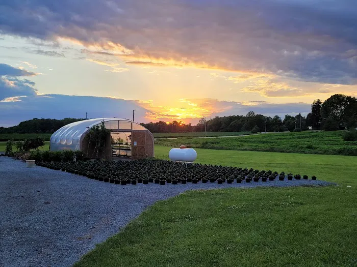 Schaller Greenhouse and Landscape Picture 8