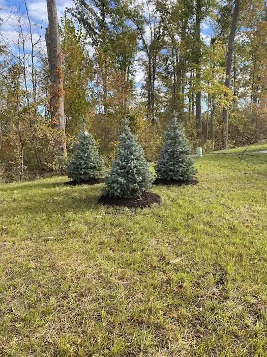 Seifert's Landscaping, LLC Picture 5