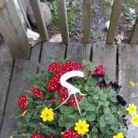 Cloverleaf Outdoors LLC ico