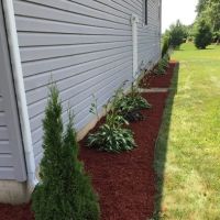 Dodson Lawn Care & Snowplowing ico