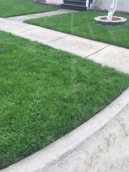 Dodson Lawn Care & Snowplowing Picture 7
