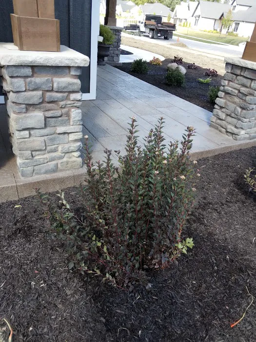 Logue Enterprises LLC Picture 5