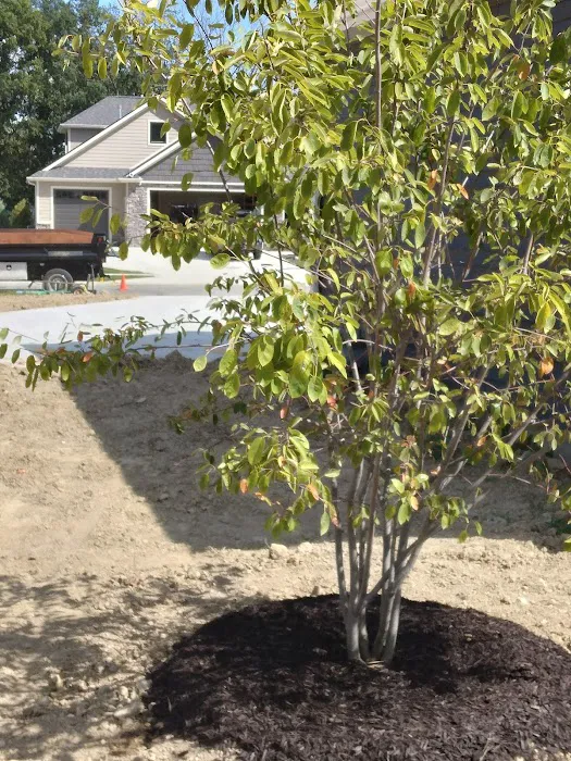 Logue Enterprises LLC Picture 6