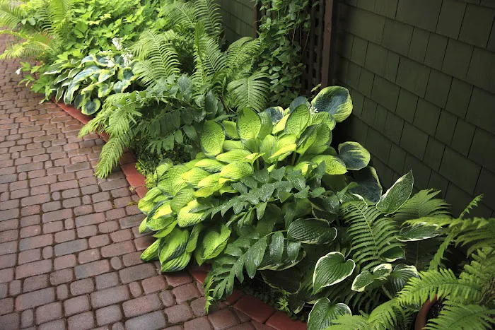 LK Landscaping, LLC Picture 10