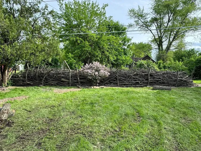 Love Your Land Picture 6