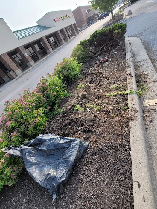 Mod1landscaping Picture 9