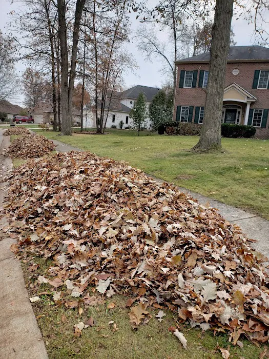 Mod1landscaping Picture 6