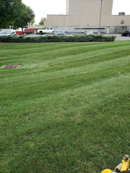 Mod1landscaping Picture 5