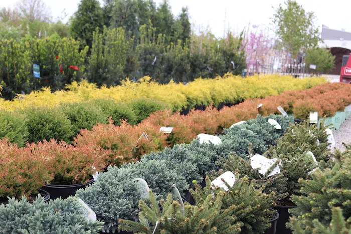 Outdoor Concepts Picture 5
