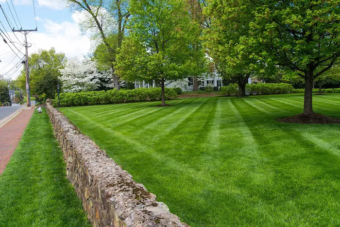 Atlas Lawn and Snow Solutions of Fort Wayne Indiana Picture 10