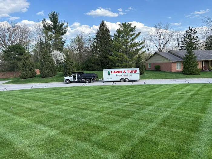 Lawn and Turf Landscaping Picture 2