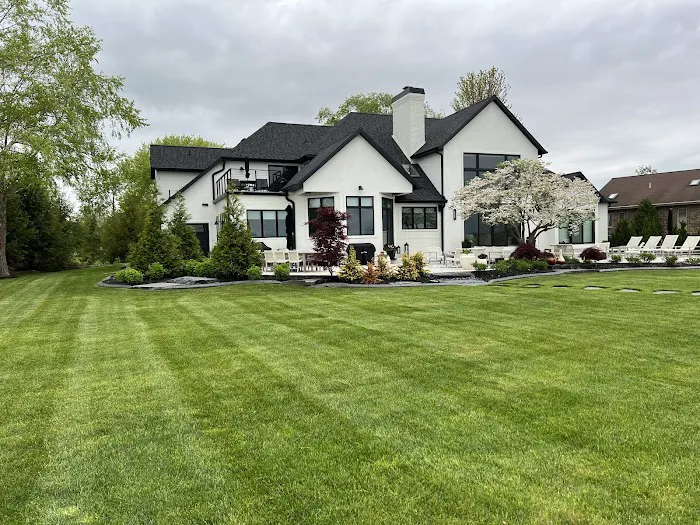 Lawn and Turf Landscaping Picture 1