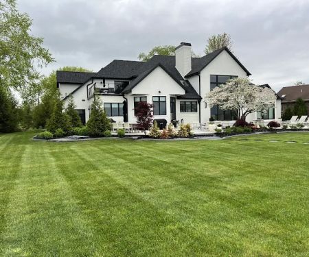 Lawn and Turf Landscaping