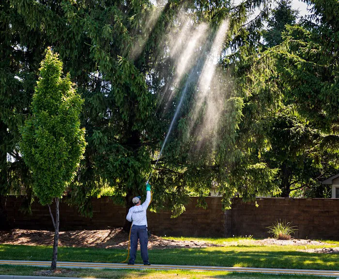 Signature Lawn & TreeMasters Picture 2