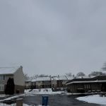 Guzman Next Level Landscaping