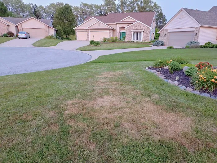 TruGreen Lawn Care Picture 6