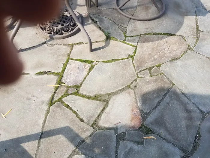 Patton Landscape Co Inc Picture 1
