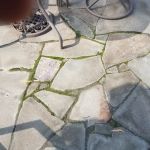 Patton Landscape Co Inc