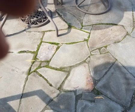 Patton Landscape Co Inc