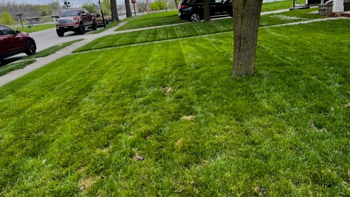 SnapShot Landscaping Picture 3