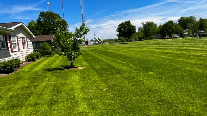 SnapShot Landscaping Picture 4