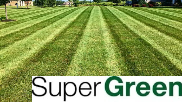 SuperGreen Picture 8