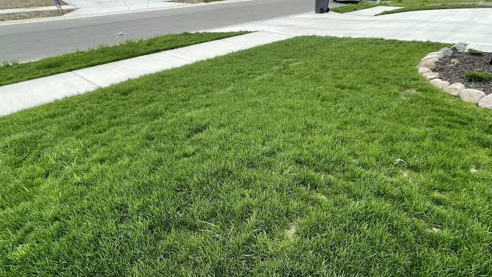 SuperGreen Picture 5