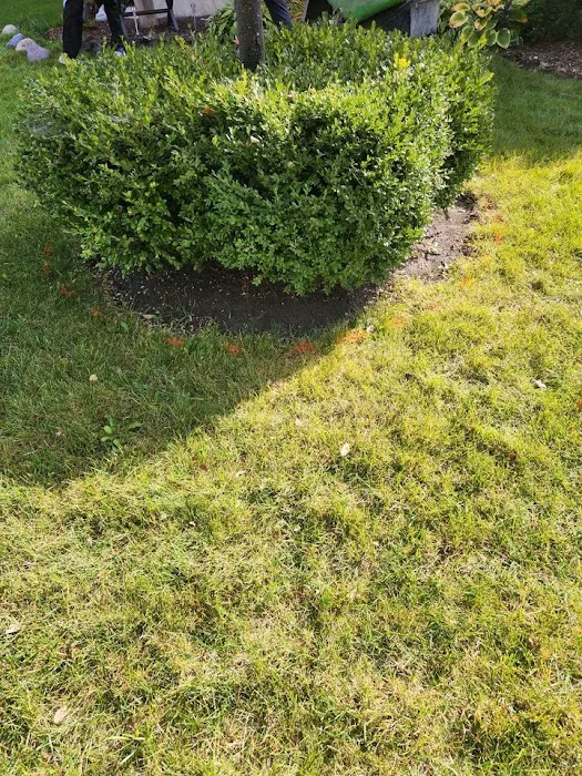 AE Landscape Borders Fort Wayne Picture 2