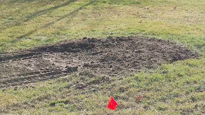 Wheatcraft Tree And Lawn Picture 3