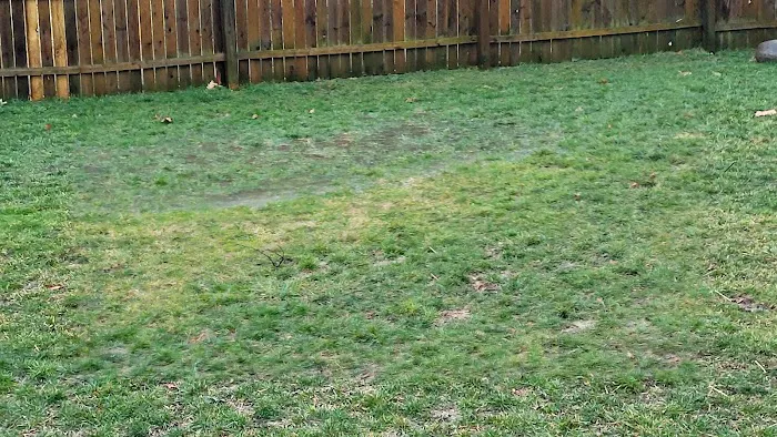 Landscape Maintenance LLC Picture 5