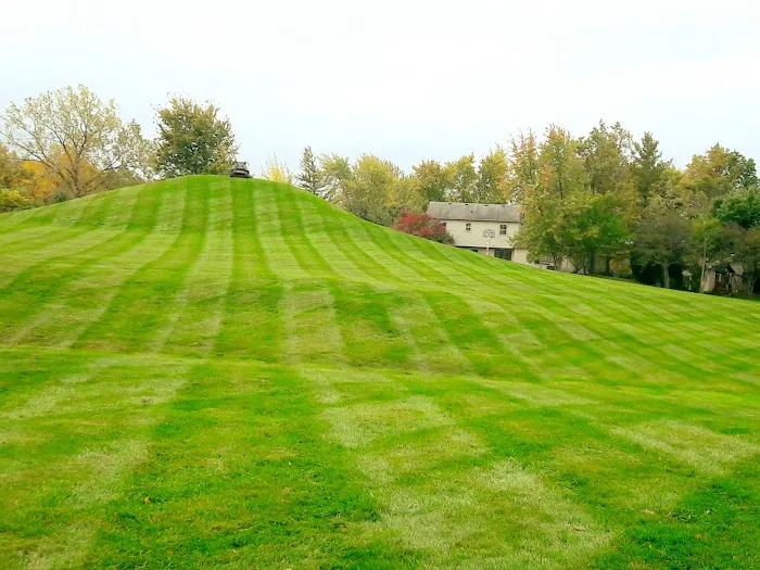 Adams Landscape Management Inc Picture 5