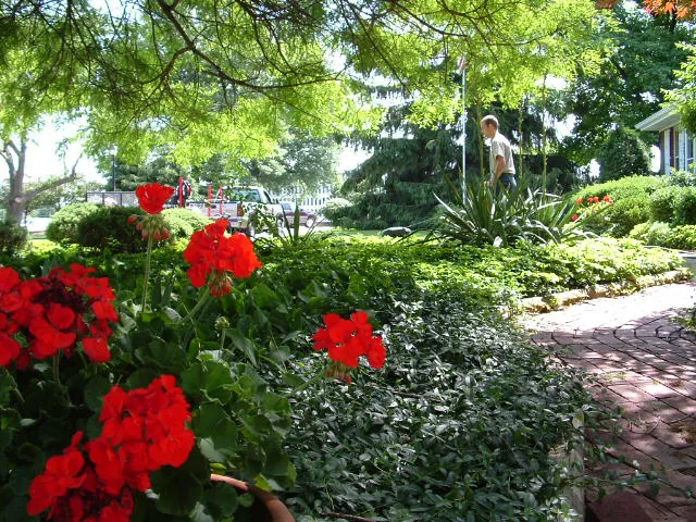 Adams Landscape Management Inc Picture 8