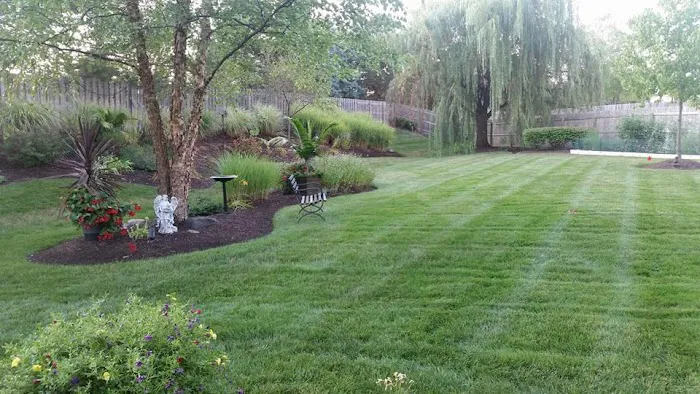 Adams Landscape Management Inc Picture 2