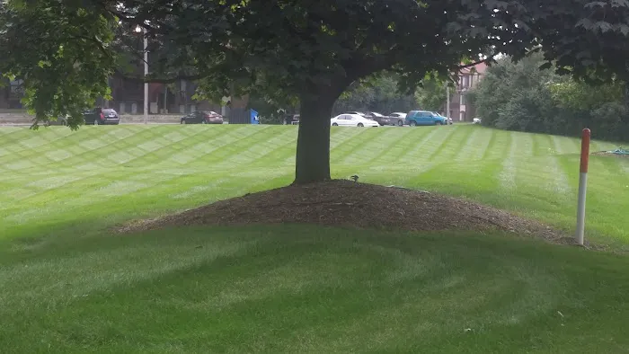 Adams Landscape Management Inc Picture 7
